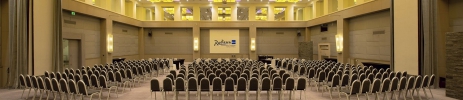 RADISSON SAS CONFERENCE AND AIRPORT - 6