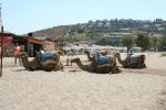 CAMEL BODRUM BEACH CLUB & SPA - 1