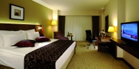 CROWNE PLAZA ISTANBUL - 13